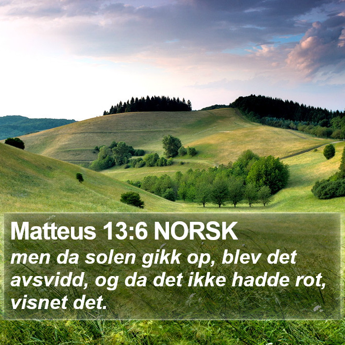 Matteus 13:6 NORSK Bible Study