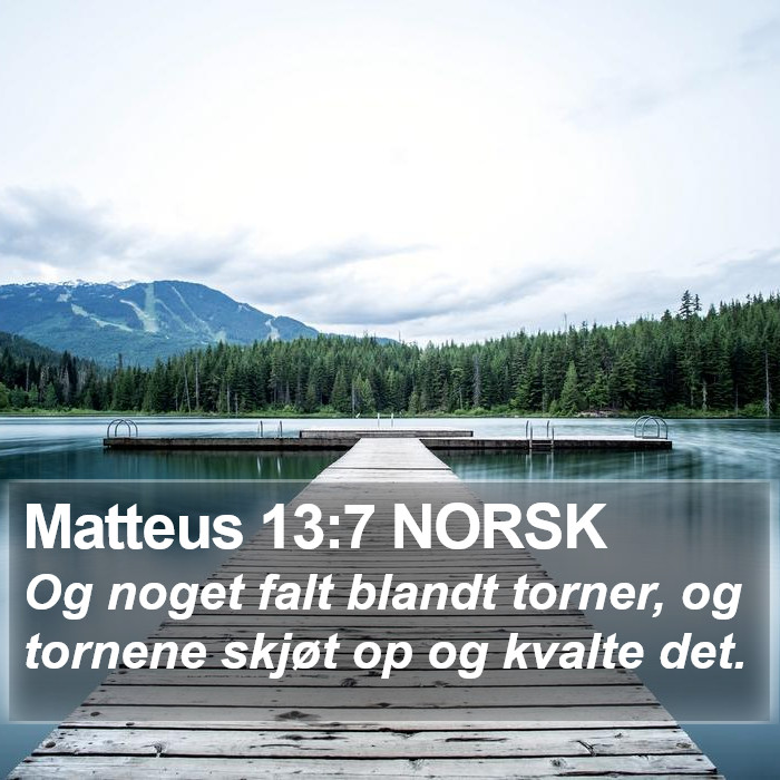 Matteus 13:7 NORSK Bible Study