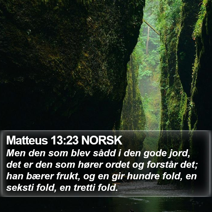 Matteus 13:23 NORSK Bible Study