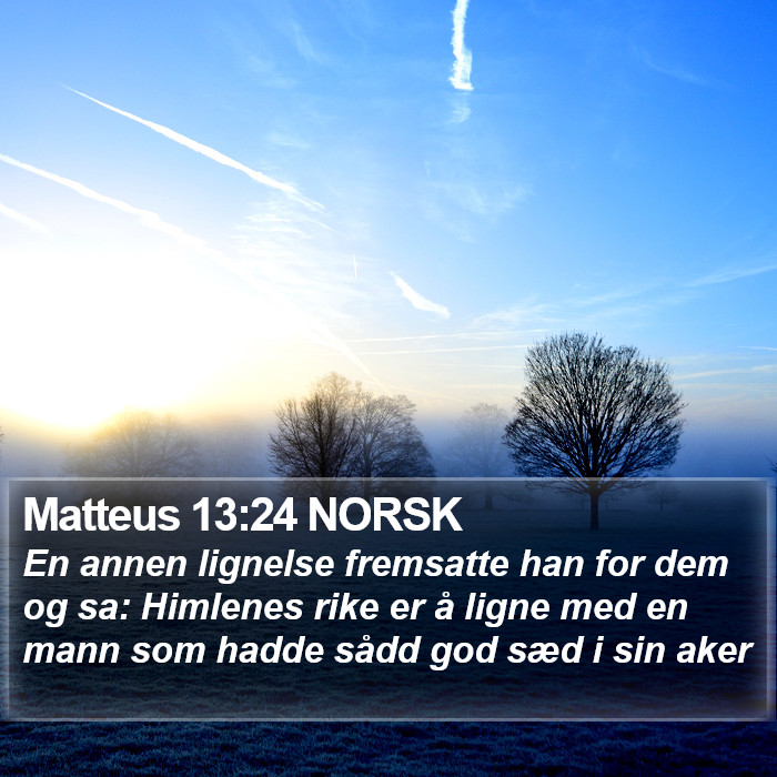 Matteus 13:24 NORSK Bible Study