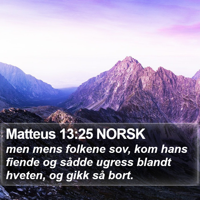 Matteus 13:25 NORSK Bible Study