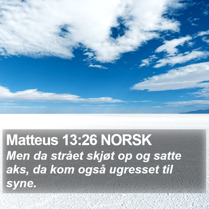 Matteus 13:26 NORSK Bible Study