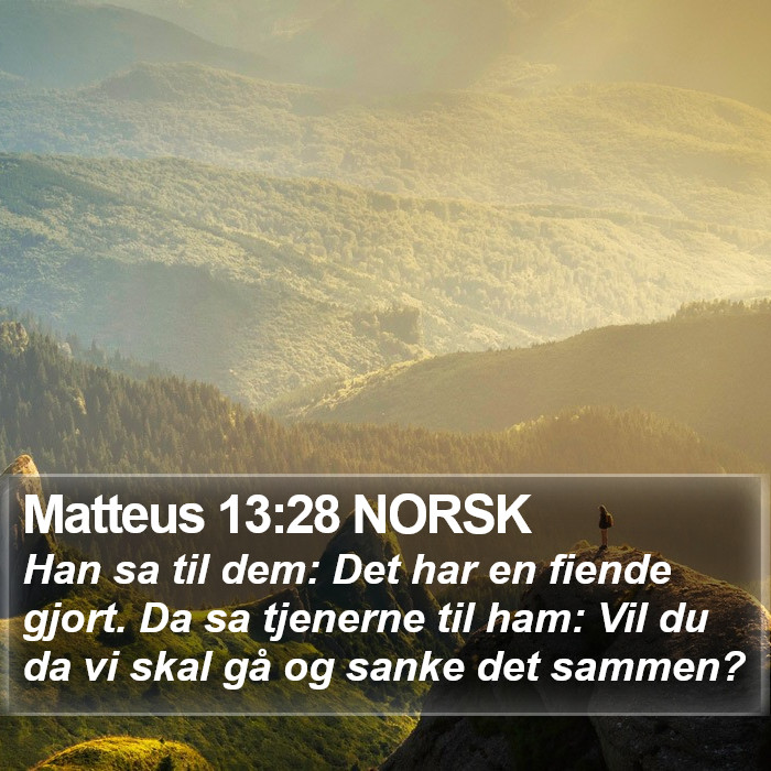 Matteus 13:28 NORSK Bible Study