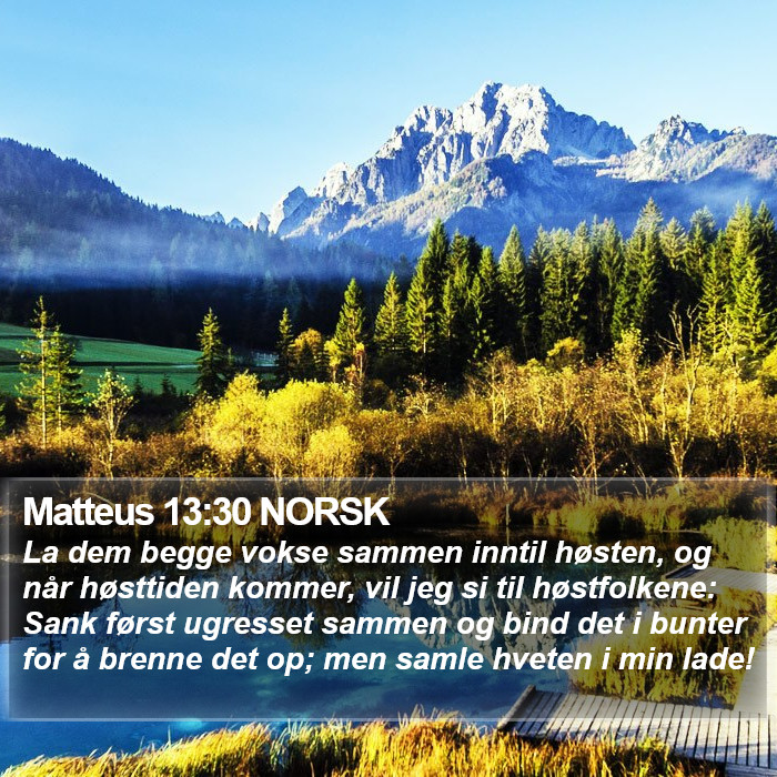 Matteus 13:30 NORSK Bible Study