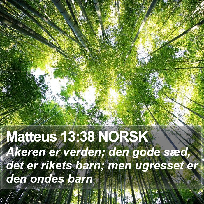 Matteus 13:38 NORSK Bible Study