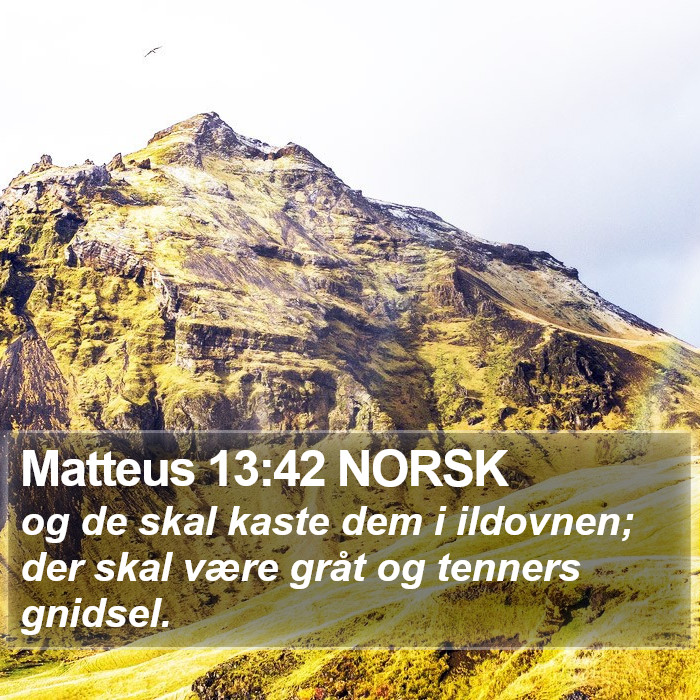 Matteus 13:42 NORSK Bible Study