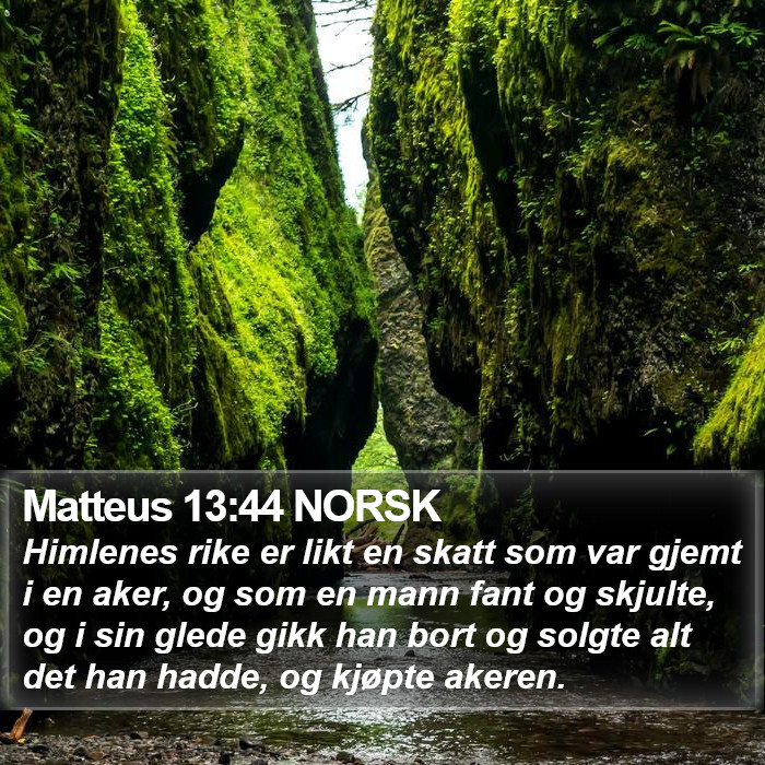 Matteus 13:44 NORSK Bible Study