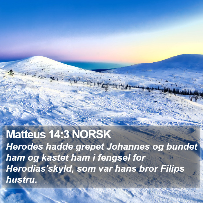 Matteus 14:3 NORSK Bible Study