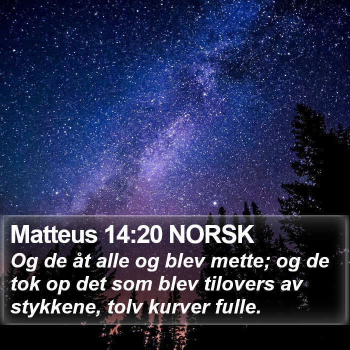 Matteus 14:20 NORSK Bible Study