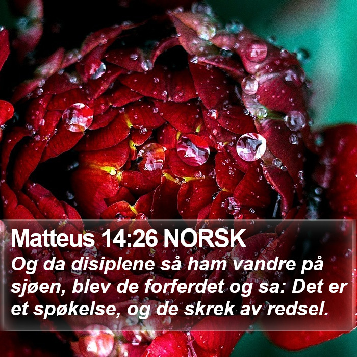 Matteus 14:26 NORSK Bible Study