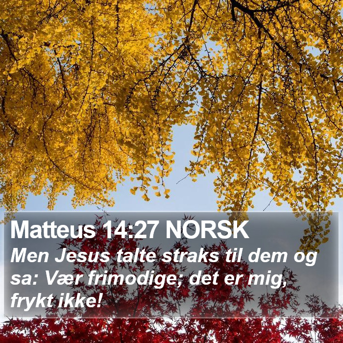 Matteus 14:27 NORSK Bible Study