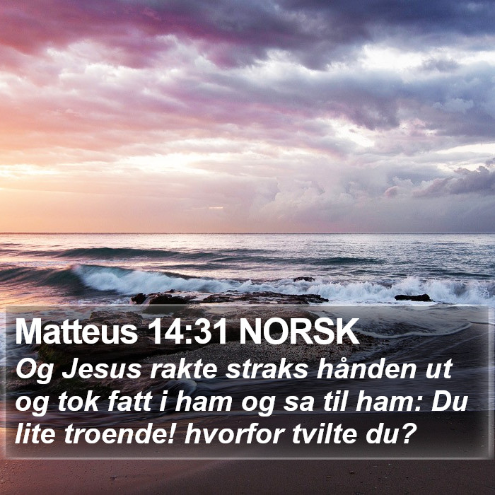 Matteus 14:31 NORSK Bible Study