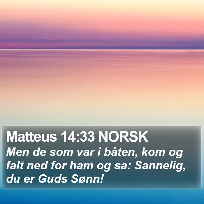 Matteus 14:33 NORSK Bible Study