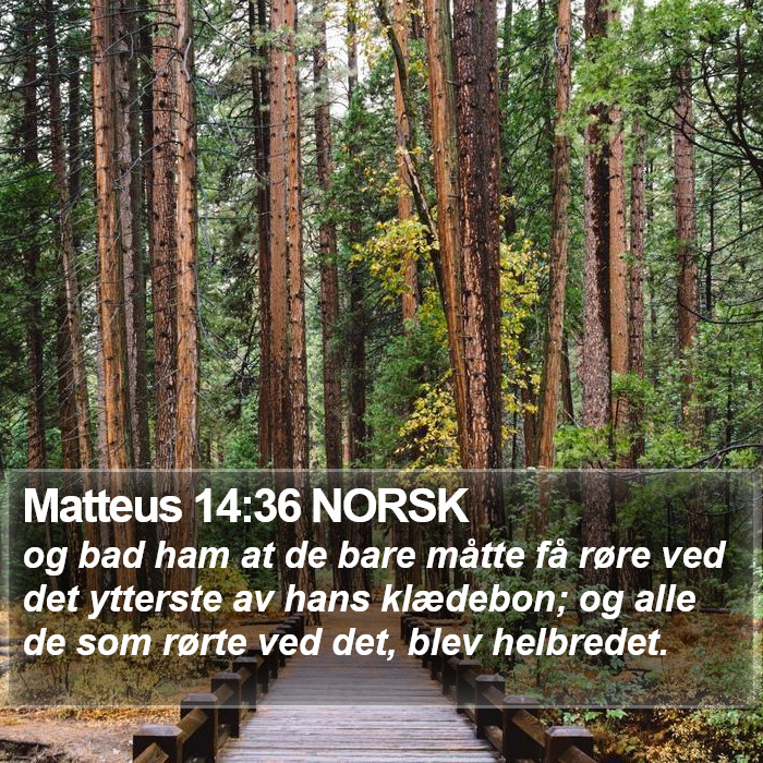 Matteus 14:36 NORSK Bible Study