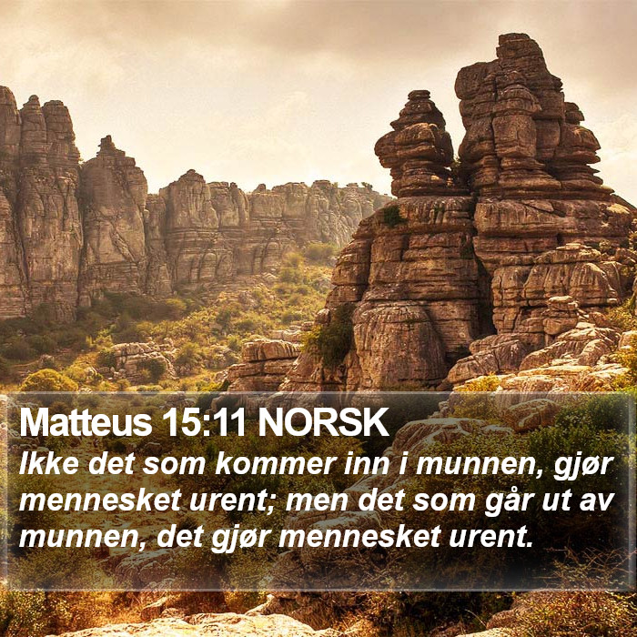 Matteus 15:11 NORSK Bible Study