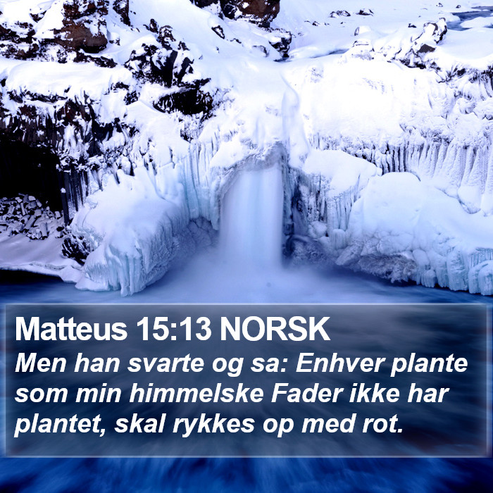 Matteus 15:13 NORSK Bible Study