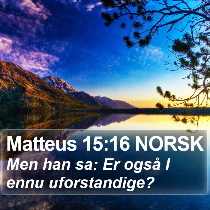 Matteus 15:16 NORSK Bible Study