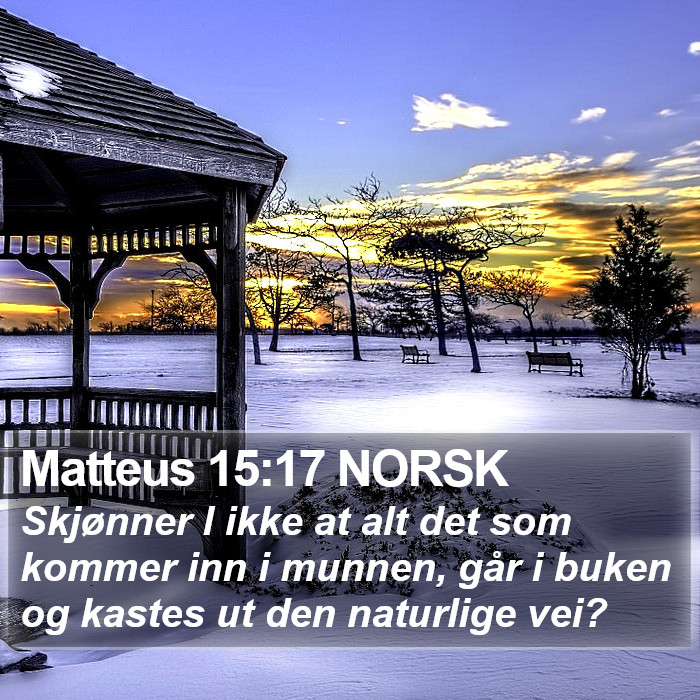 Matteus 15:17 NORSK Bible Study