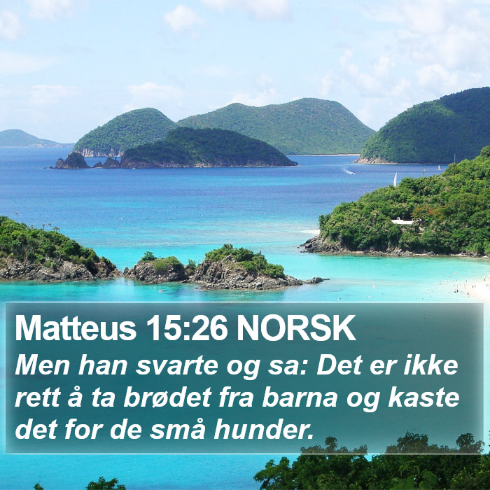 Matteus 15:26 NORSK Bible Study