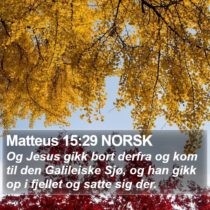 Matteus 15:29 NORSK Bible Study