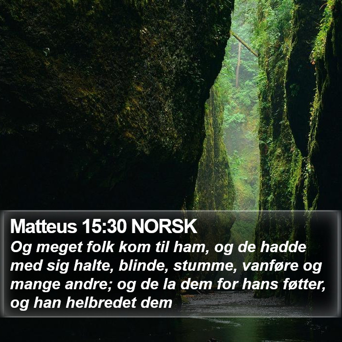 Matteus 15:30 NORSK Bible Study