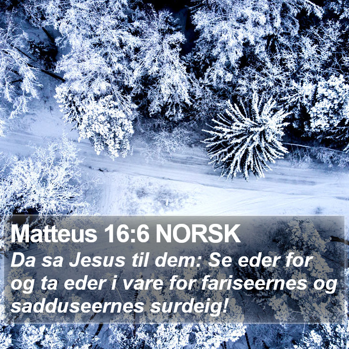 Matteus 16:6 NORSK Bible Study