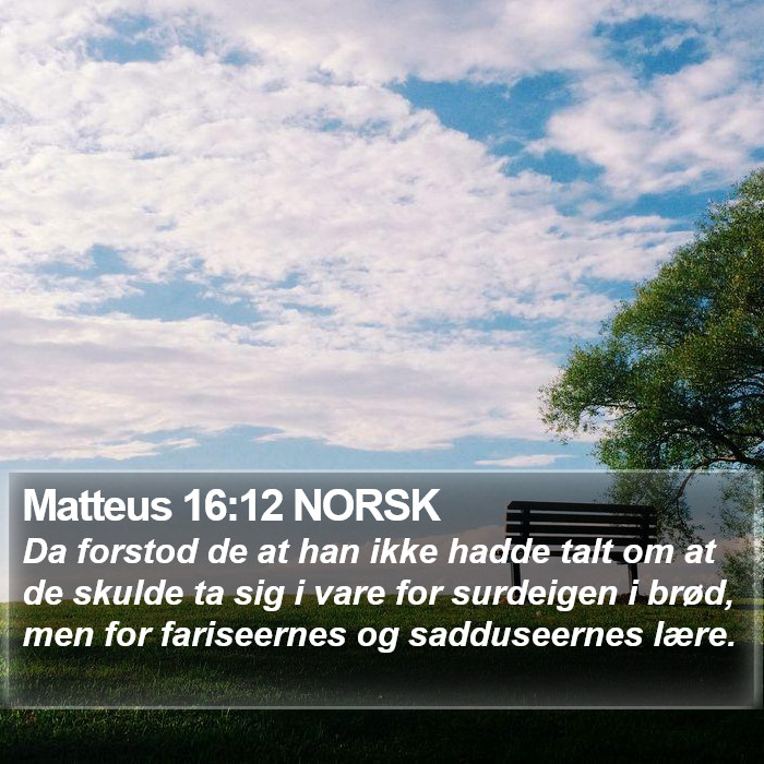 Matteus 16:12 NORSK Bible Study