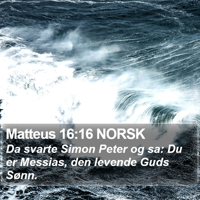 Matteus 16:16 NORSK Bible Study