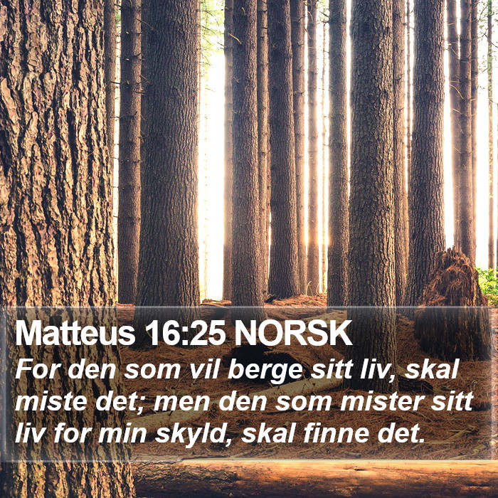 Matteus 16:25 NORSK Bible Study