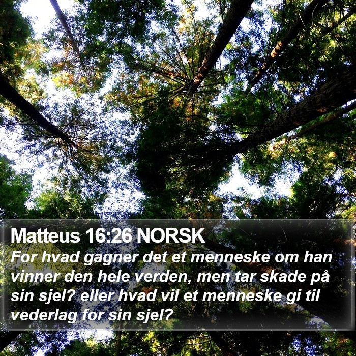 Matteus 16:26 NORSK Bible Study