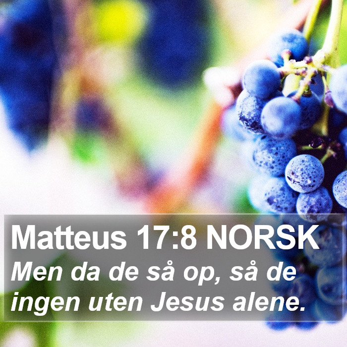 Matteus 17:8 NORSK Bible Study