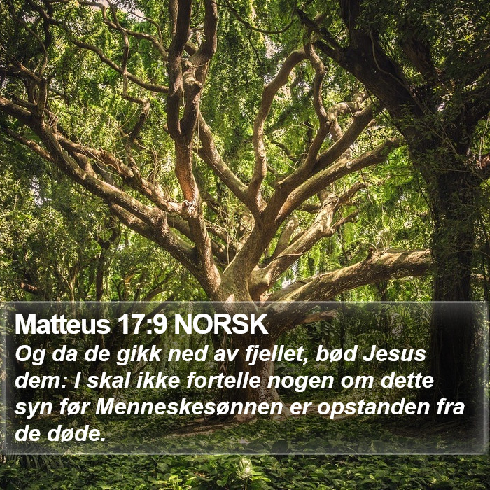 Matteus 17:9 NORSK Bible Study