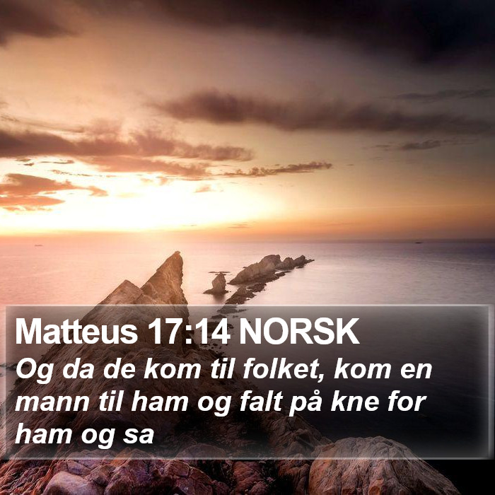 Matteus 17:14 NORSK Bible Study