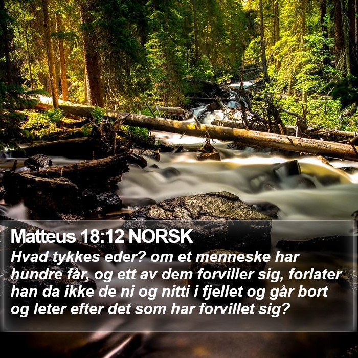 Matteus 18:12 NORSK Bible Study