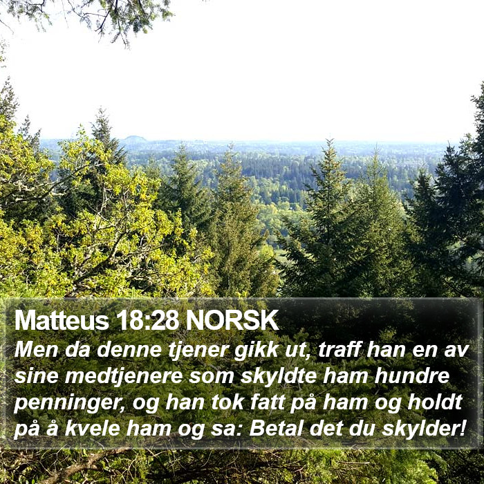 Matteus 18:28 NORSK Bible Study