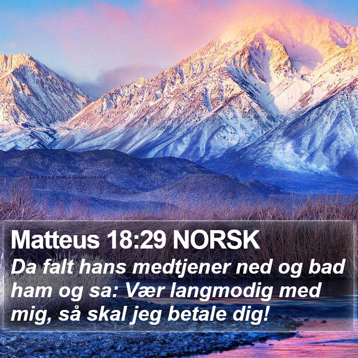 Matteus 18:29 NORSK Bible Study