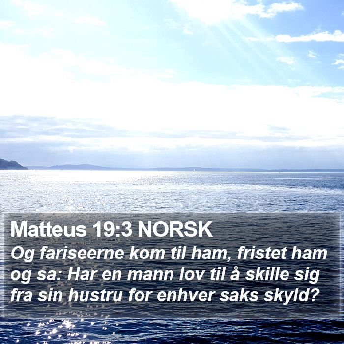 Matteus 19:3 NORSK Bible Study