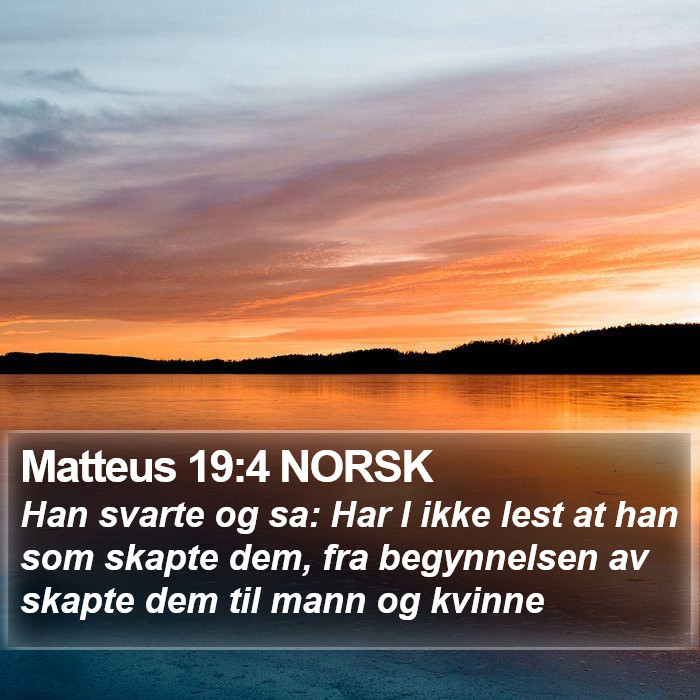 Matteus 19:4 NORSK Bible Study