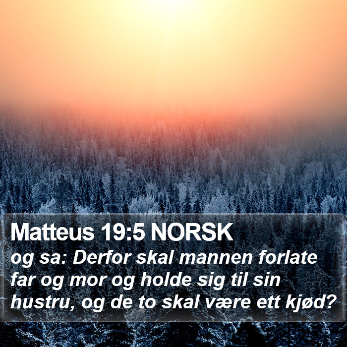 Matteus 19:5 NORSK Bible Study