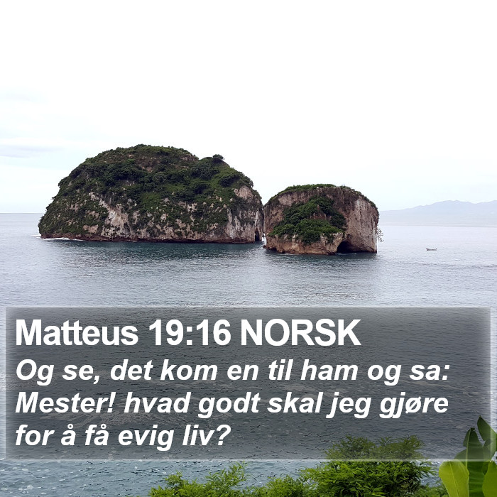 Matteus 19:16 NORSK Bible Study