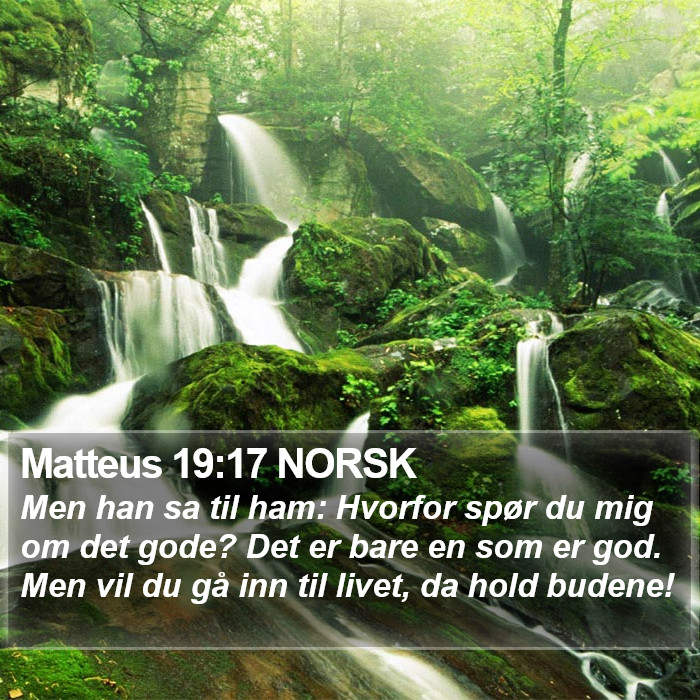 Matteus 19:17 NORSK Bible Study