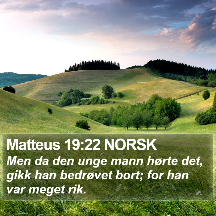 Matteus 19:22 NORSK Bible Study