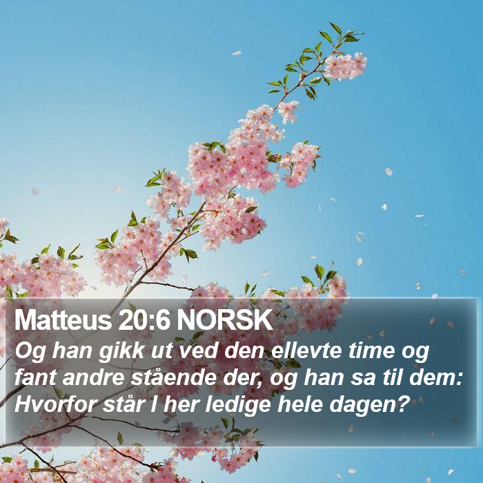 Matteus 20:6 NORSK Bible Study