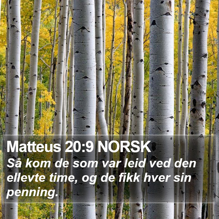 Matteus 20:9 NORSK Bible Study