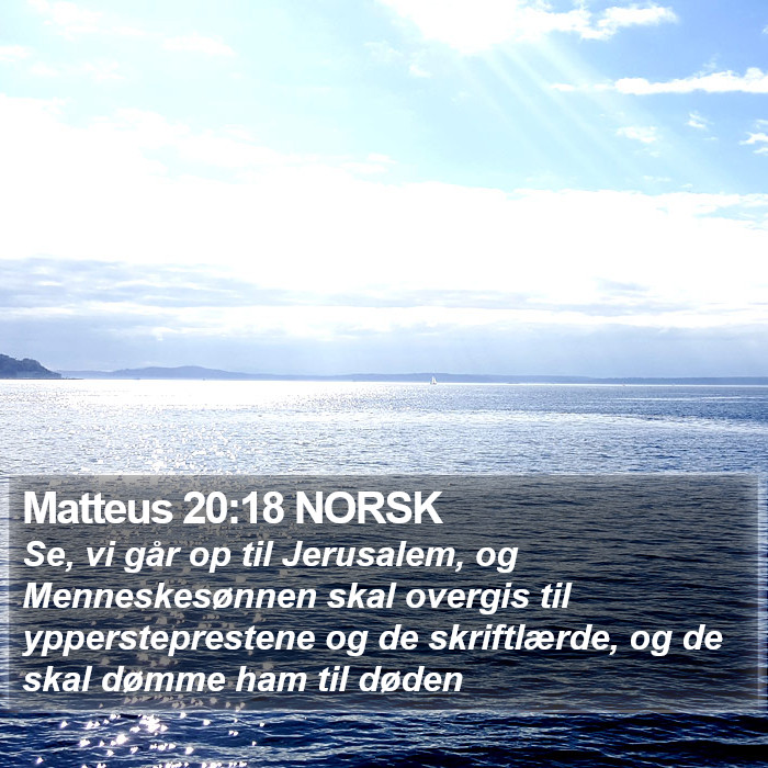 Matteus 20:18 NORSK Bible Study