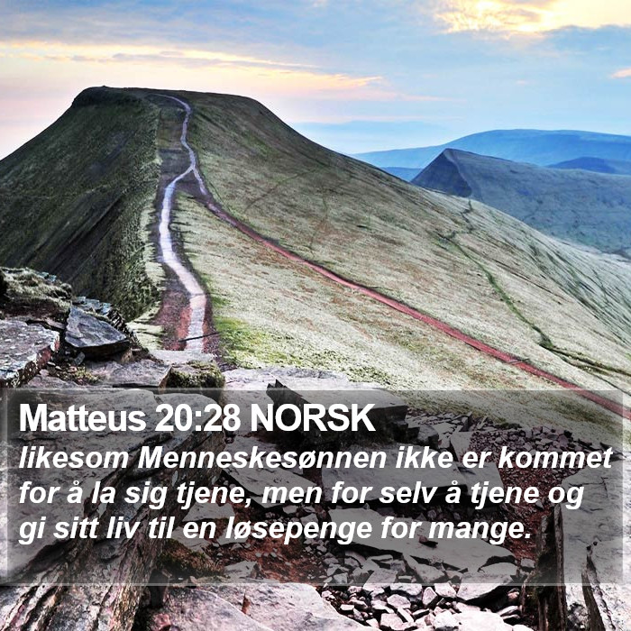 Matteus 20:28 NORSK Bible Study