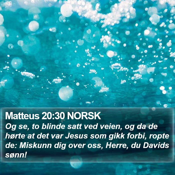 Matteus 20:30 NORSK Bible Study