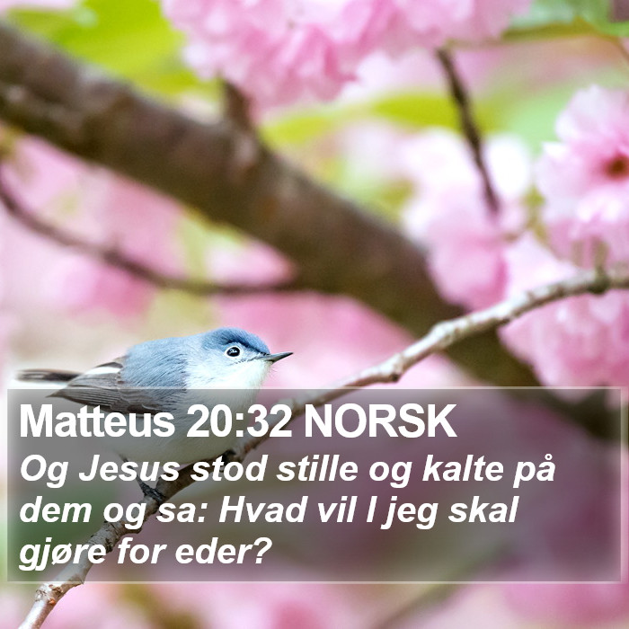 Matteus 20:32 NORSK Bible Study