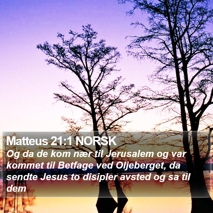 Matteus 21:1 NORSK Bible Study