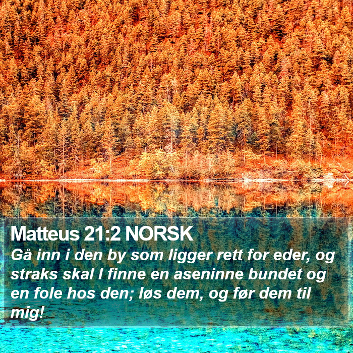 Matteus 21:2 NORSK Bible Study